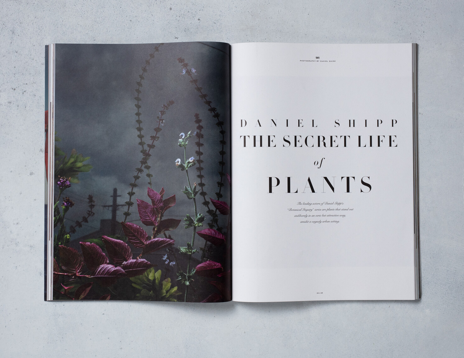 Botanical Inquiry - tearsheets