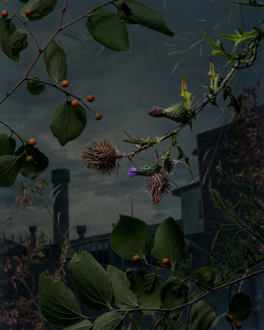 15_Inactive_Facility_Surrounds