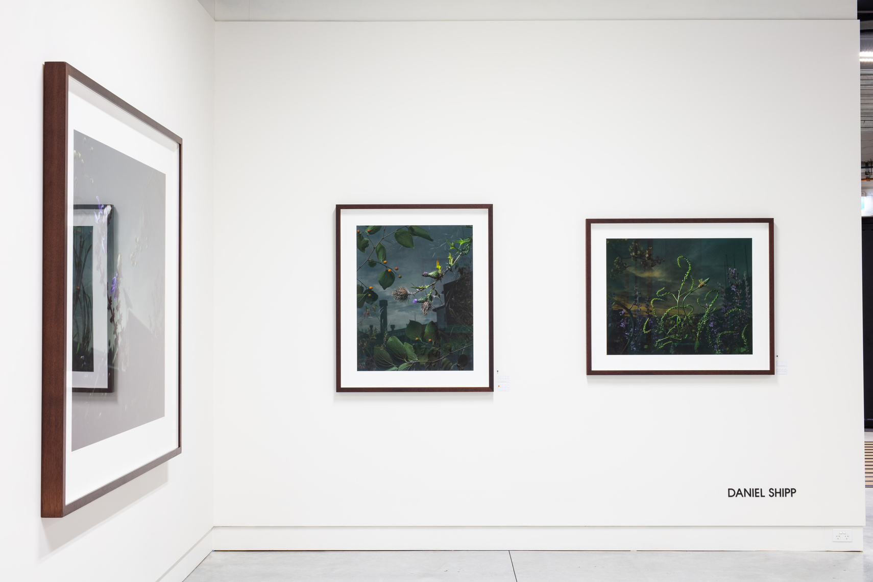 Botanical Inquiry - Instal at May Space Gallery May 2018